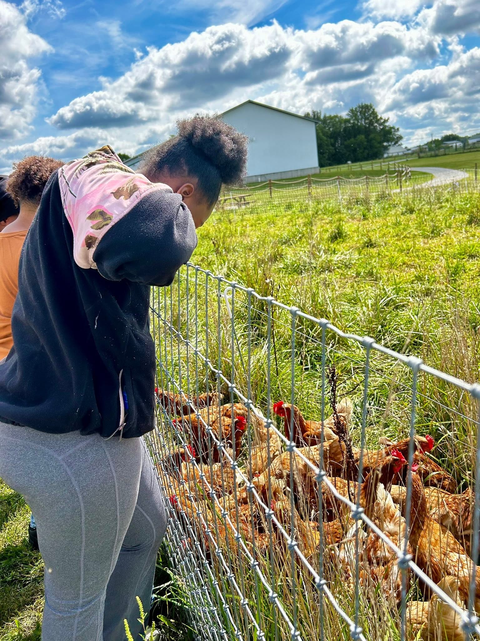 Students observe free-range chickens during a hands-on agricultural learning experience.