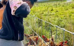 Students observe free-range chickens during a hands-on agricultural learning experience.