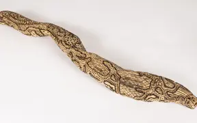 tattooed wood art piece