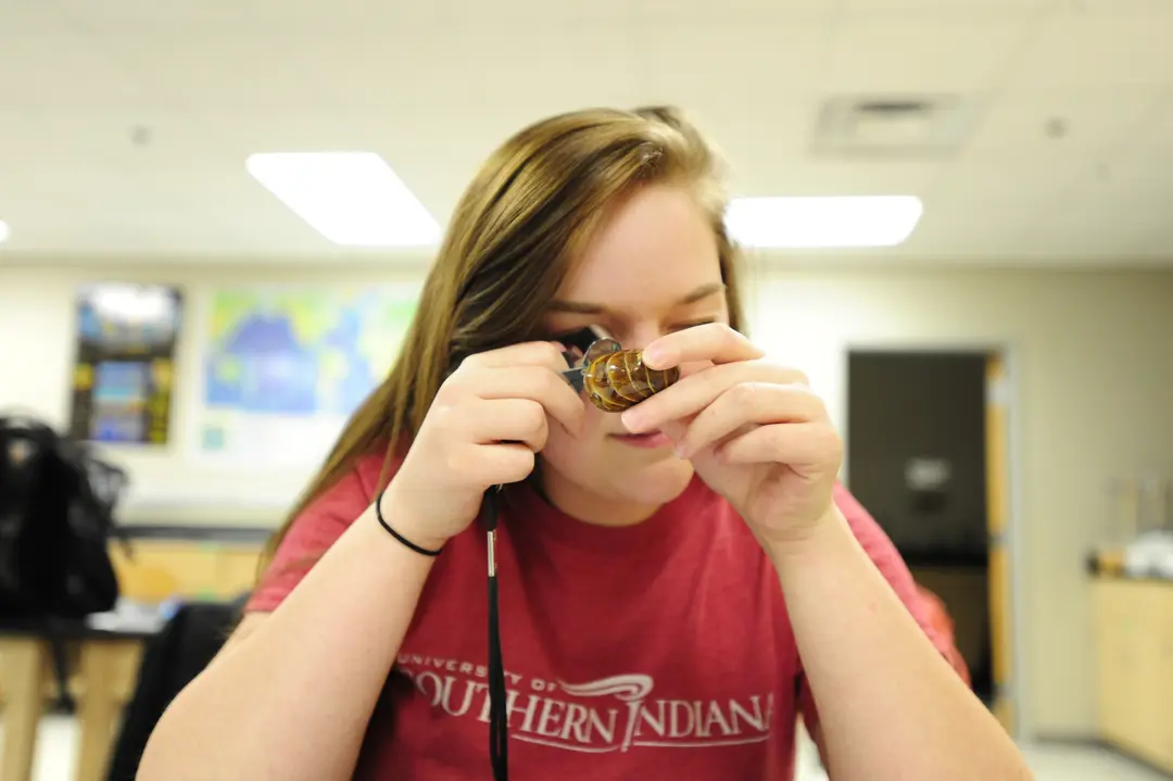 Student uses a magnifying glass to examine a shell