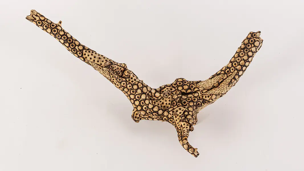 tattooed wood art piece