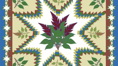 Artwork by Sarah Sharp, Digital version, "And The Thorns Were Cleared From the Path" Plant Zine (2026)