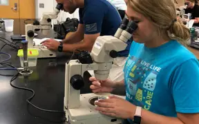 Two students use high-powered microscopes in a science lab