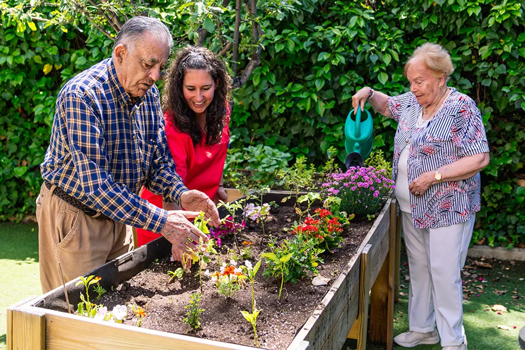 OT helping two older adults tend to a raised garden bed