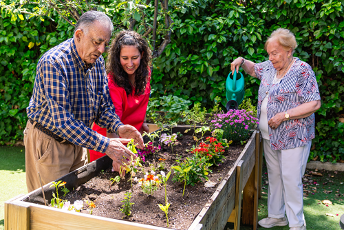 OT workimg with older adults at raised garden bed