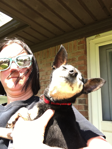 woman with wind blowing her hair holding a small dog