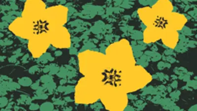 "Floating Heart": three yellow five-petaled flowers on green leafy background