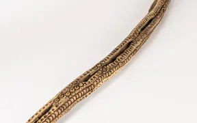 tattooed wood art piece