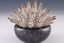 Summer Spotlight: Holen solo exhibition featured at Companion Gallery