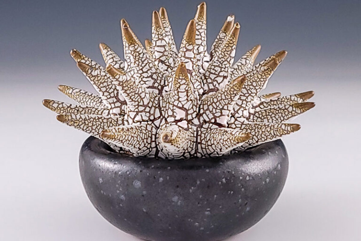 Summer Spotlight: Holen solo exhibition featured at Companion Gallery