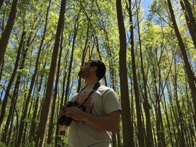 Alex Champage look up into a tree canopy