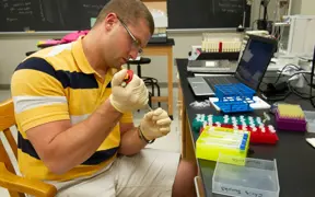 Student using a pipette to fill small tubes with liquid in a science lab