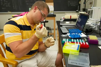 Student using a pipette to fill small tubes with liquid in a science lab