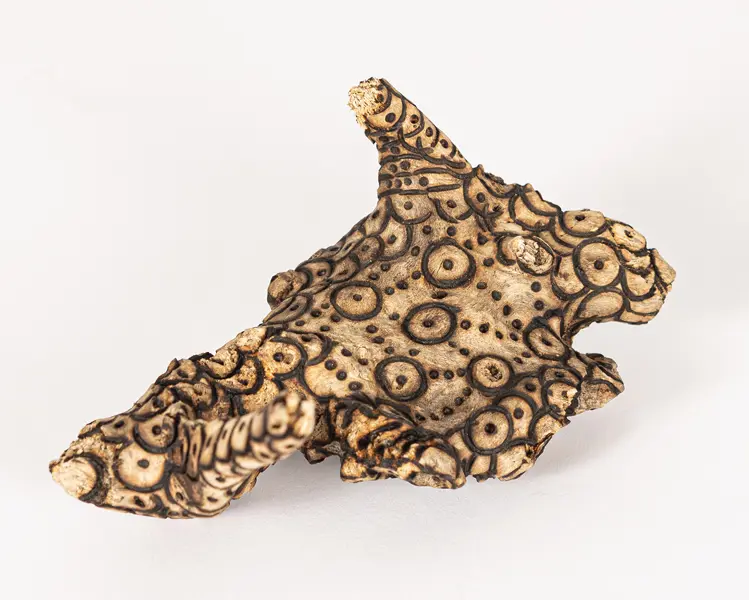 tattooed wood art piece