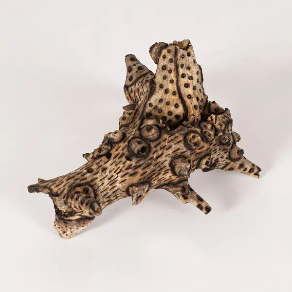tattooed wood art piece