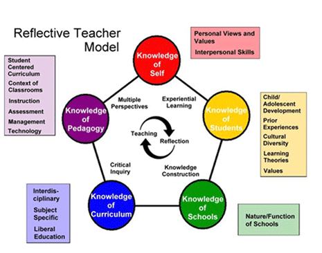 Diagram of Reflective Teacher Model