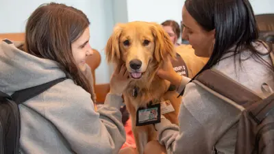 Students pet a therapy dog