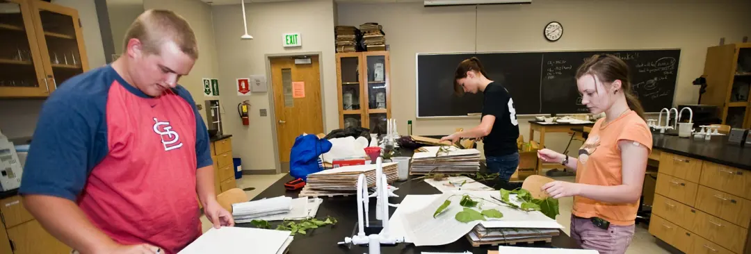 Students evaluate plants in a biology lab