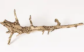 tattooed wood art piece