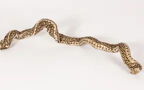 tattooed wood art piece