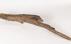 tattooed wood art piece