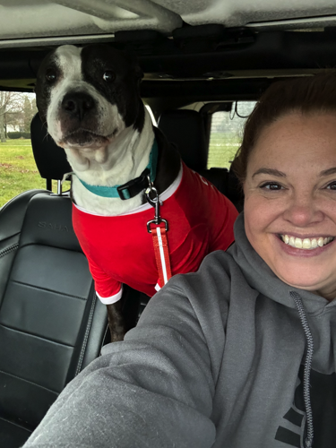 woman driving with black and white doge wearing red shirt standing on the car console