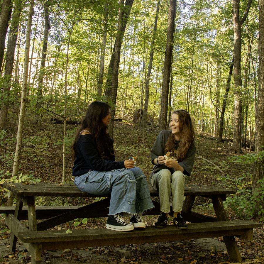 Students sit and talk on one of the three picnic tables found on the lakeside Oak Trail. 