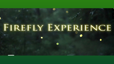 Graphic with the words “Firefly Experience” glowing in pale yellow over a dark, wooded background with scattered glowing fireflies; green panels appear at the top and bottom of the image.