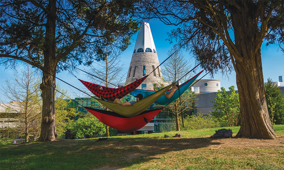 Photo of hammocks on the quad with university center in background