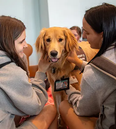 USI students play with a therapy dog