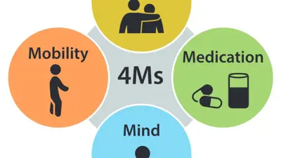 4Ms graphic