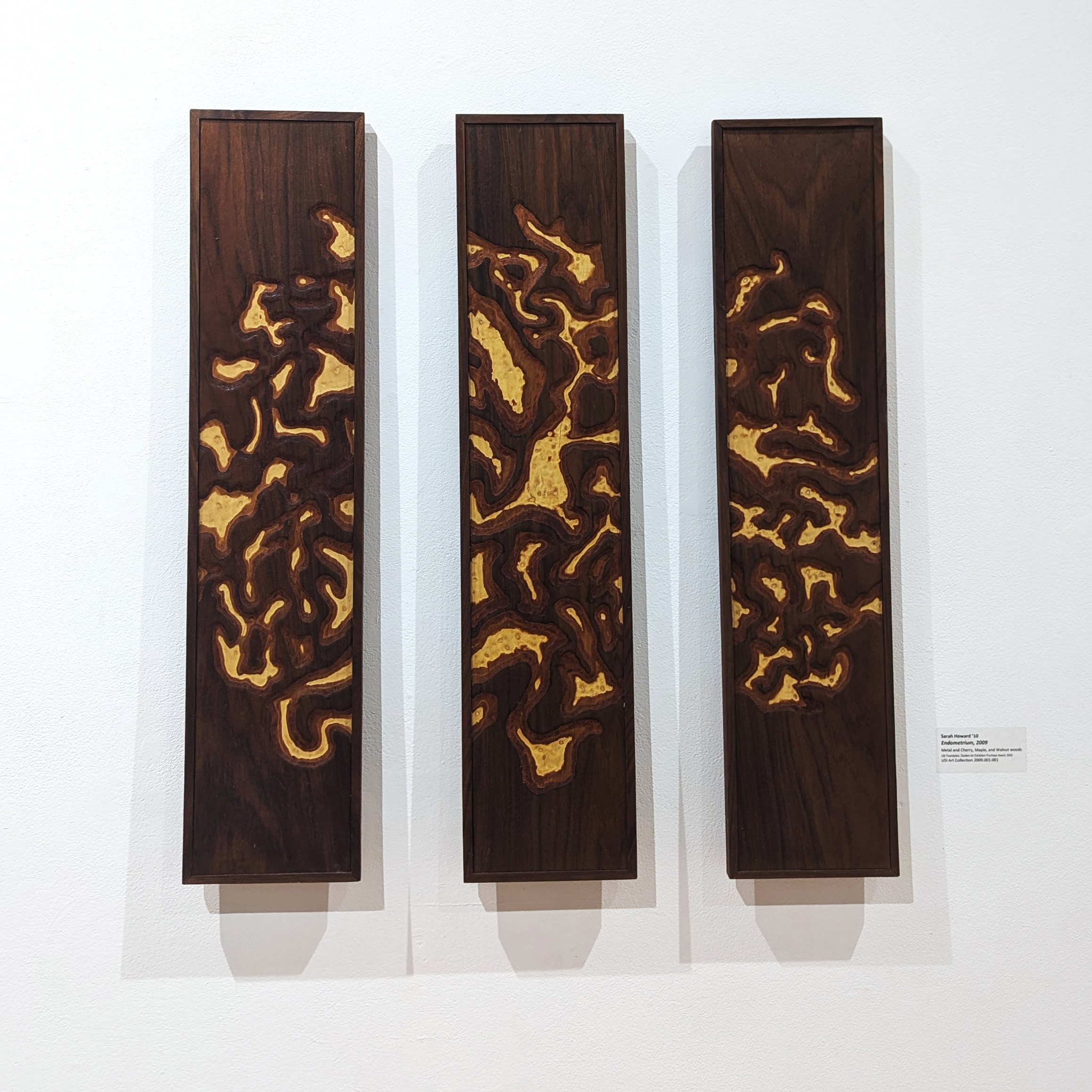 Wall art - "Endometrium" by Sarah Howard