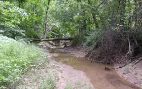 stream