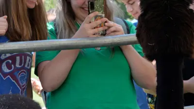 Smiling student takes a photo of a llama at a campus event