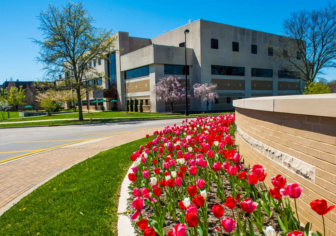 A view of the old Health Professions Center from the University Fountain and entrance