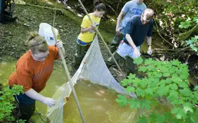 students electrofishing