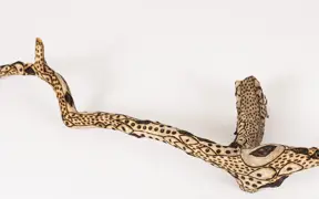tattooed wood art piece