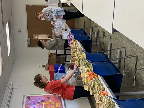 Photo of students sorting food
