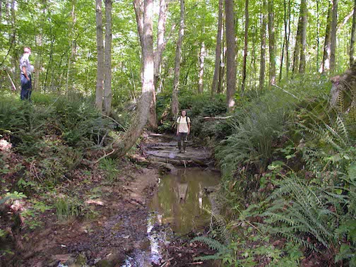 limestone stream bed
