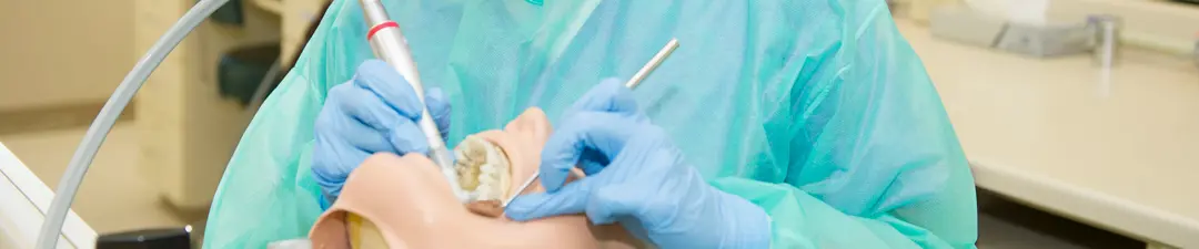 Hygienist working on a tooth model