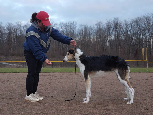 woman in red cap with Borzio dog