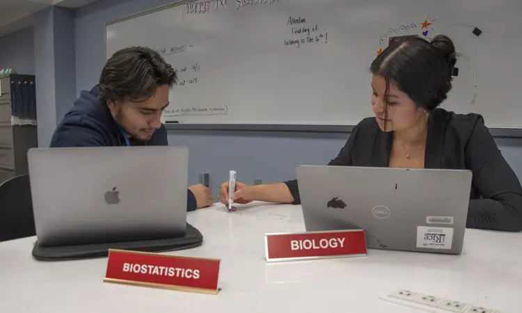 Student tutors for biology and biostatistics work together on laptops and whiteboards