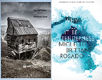 Covers of "The Old Works" and "Why Can't It Be Tenderness"