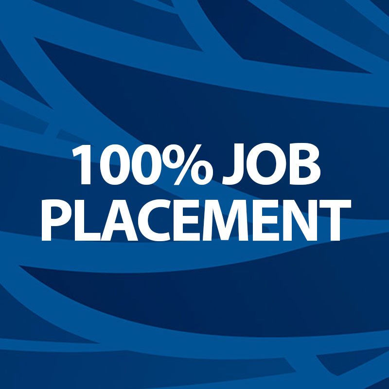100% Job Placement