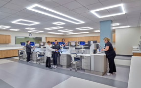 Students working in dental materials lab