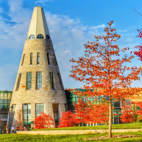 Alumni Resources