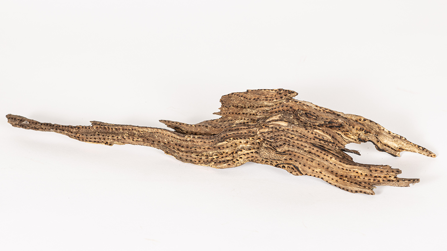 tattooed wood art piece