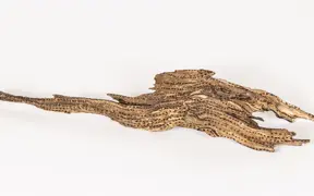 tattooed wood art piece