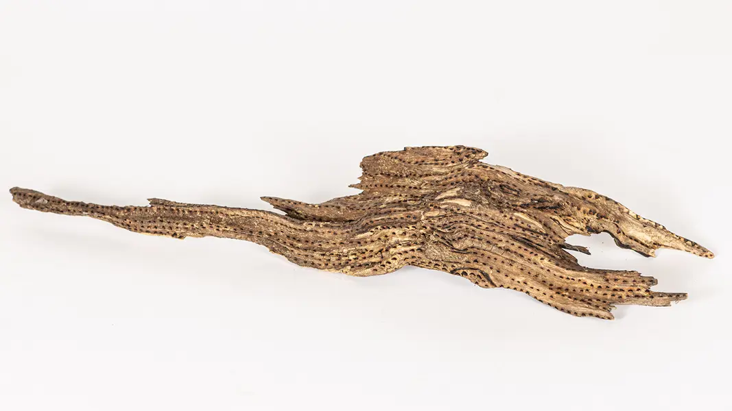 tattooed wood art piece