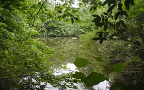 large lake in USI's nature preserve